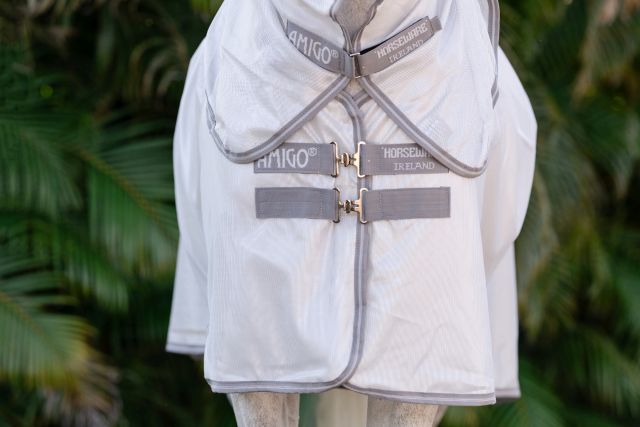 HORSEWARE® Fliegendecke Amigo® Integrated, silver/titanium Nahaufnahme des Brustbereichs einer silbernen Horseware Amigo Fliegendecke mit integriertem Halsteil und T-Verschluss.