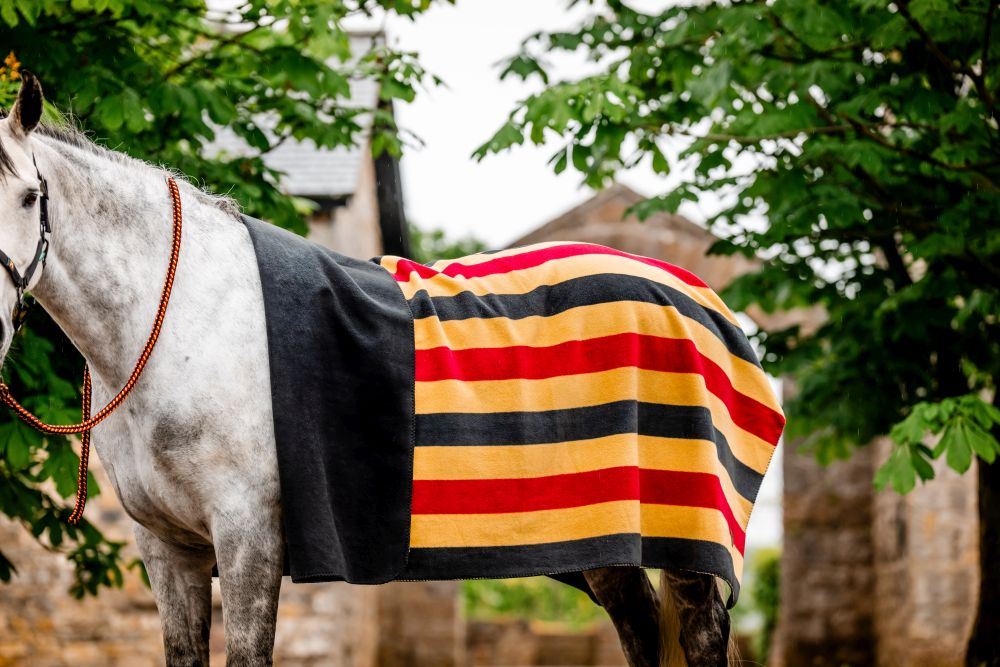 HORSEWARE® Newmarket Fleece Square, witney/gold