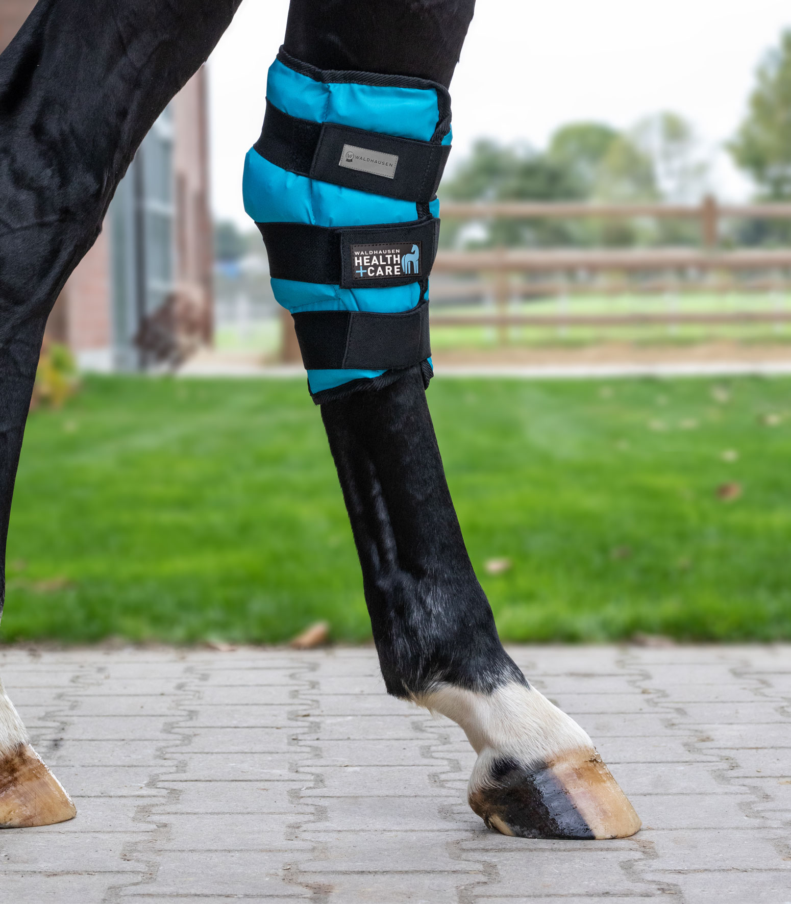 WALDHAUSEN Health + Care Sprunggelenks Kühlgamasche Gel