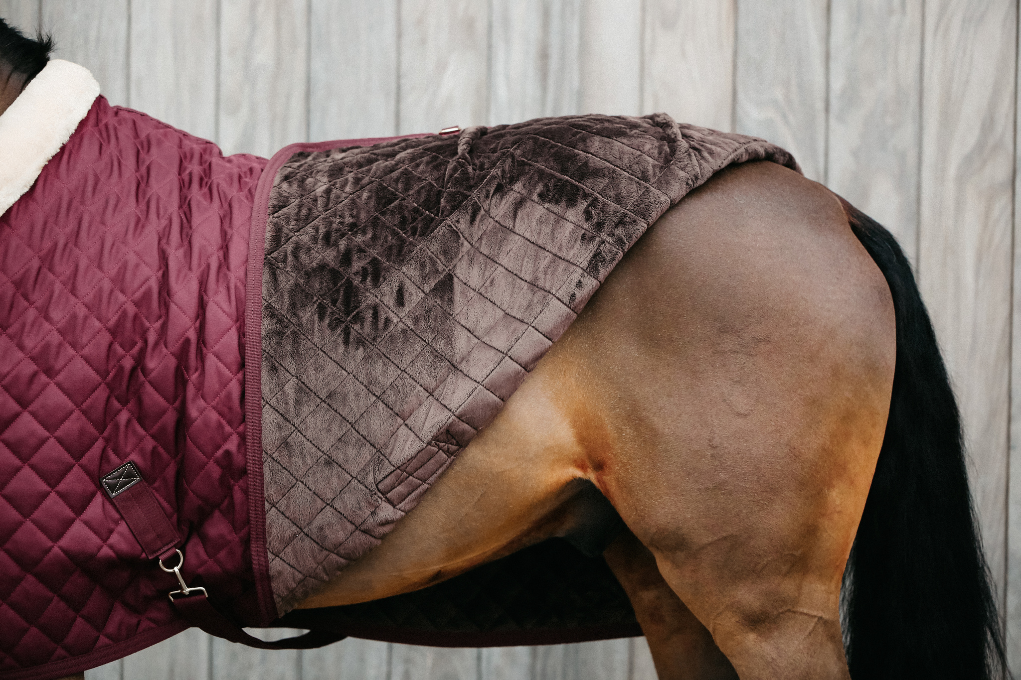 KENTUCKY® HORSEWEAR Turnierdecke, bordeaux