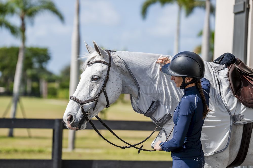 HORSEWARE® Amigo® Flyrider, silver/titanium