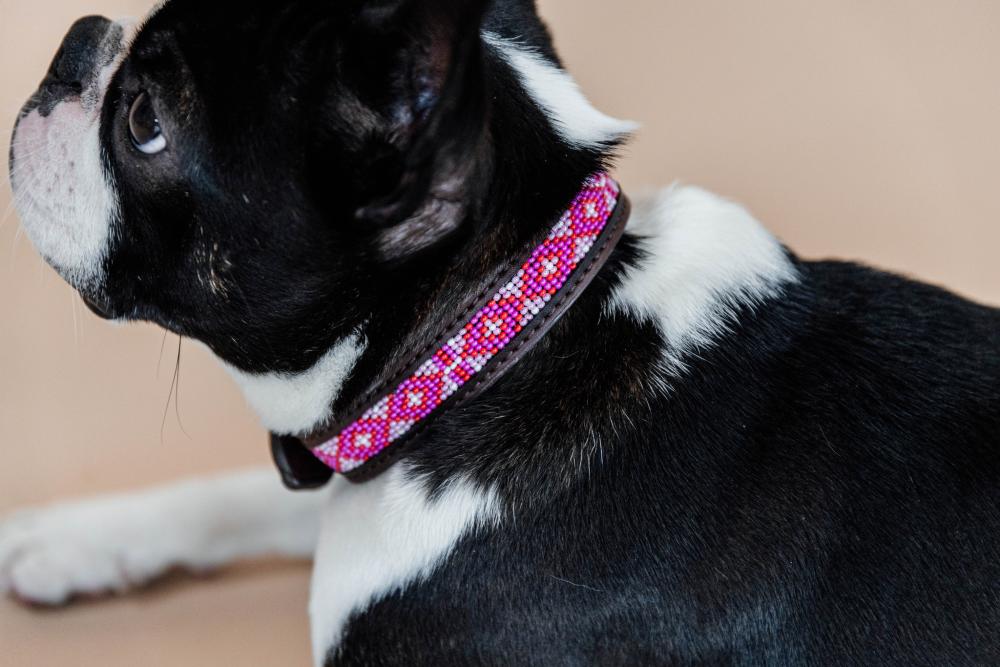 KENTUCKY® DOGWEAR Hundehalsband Pearls, rosa