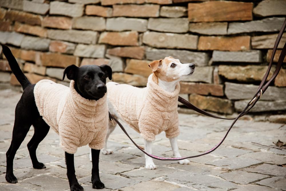 KENTUCKY® DOGWEAR Hundepullover Teddyfleece, beige