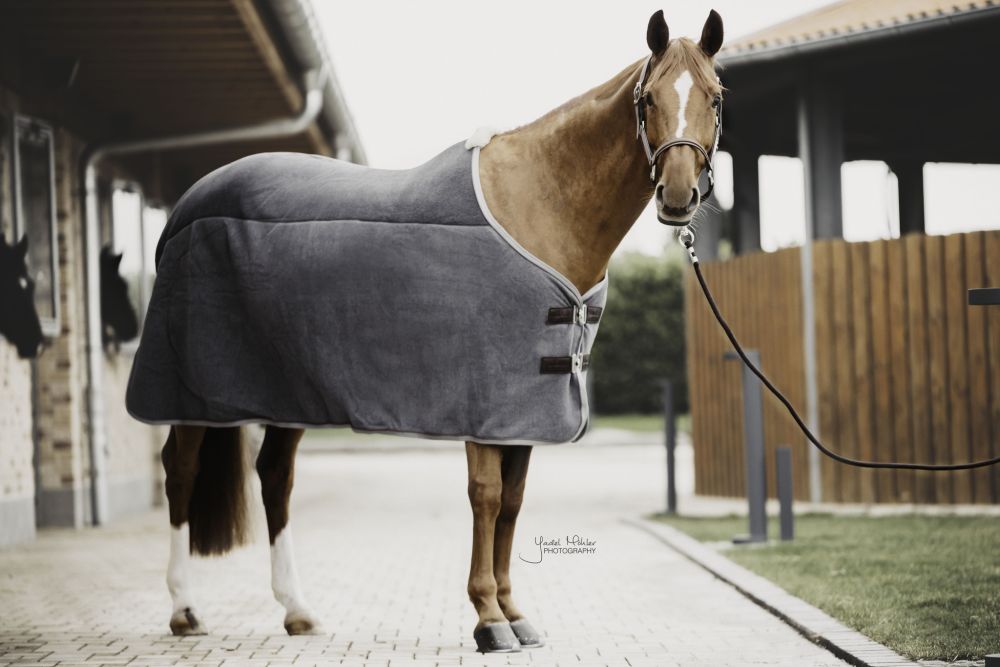 KENTUCKY® HORSEWEAR Abschwitzdecke Heavy Fleece, grau