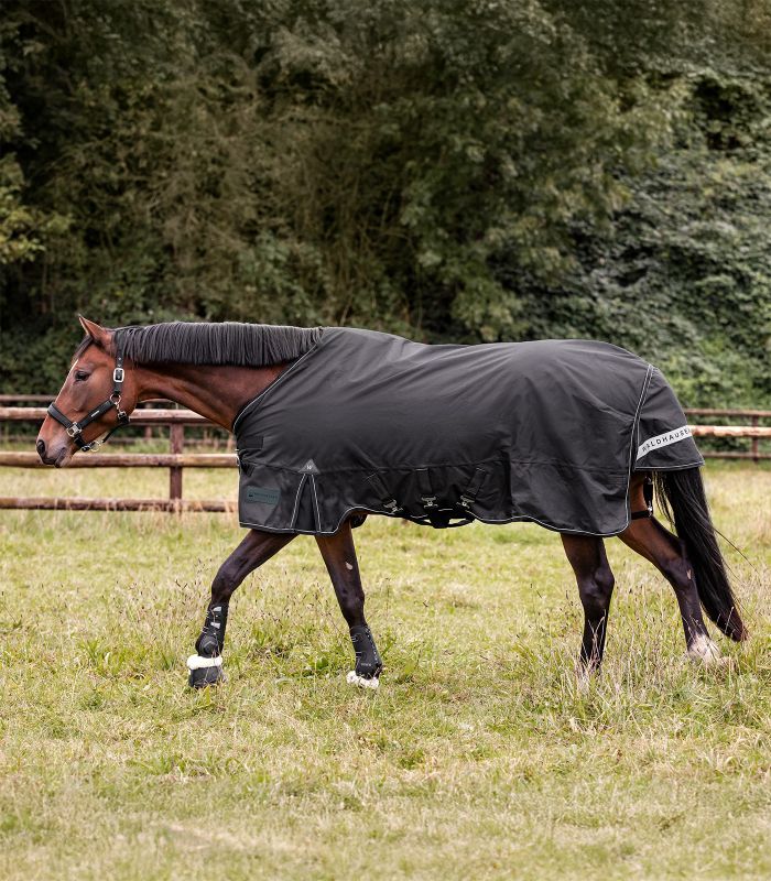 WALDHAUSEN SCANDIC Multi-Layer Outdoordecke, 250 g / 100 g, schwarz Braunes Pferd in der Seitenansicht trägt die schwarze SCANDIC MultiLayer Outdoordecke auf einer Koppel.