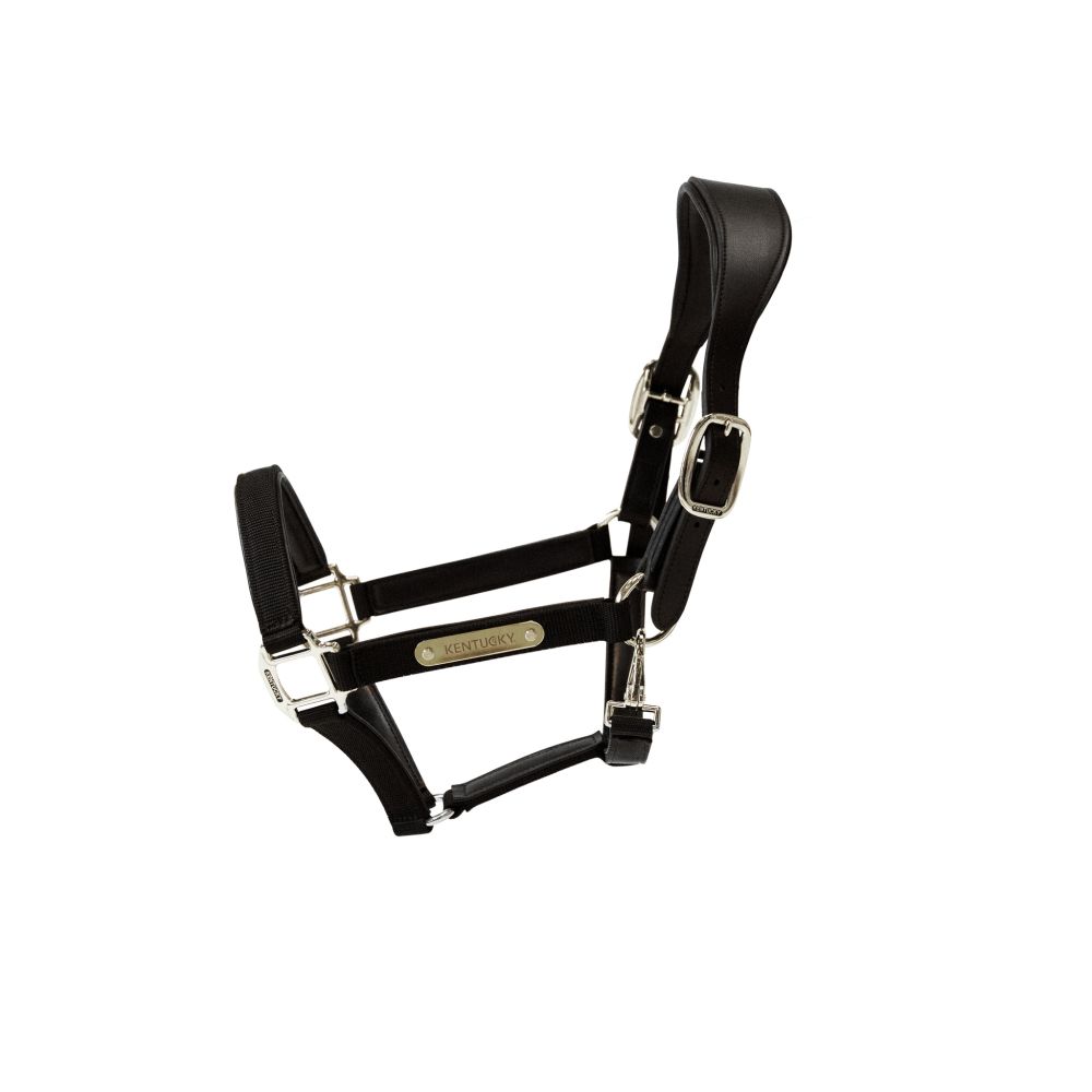 KENTUCKY® HORSEWEAR Anatomic Nylon Halfter, schwarz