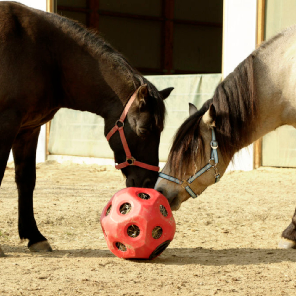 KERBL Futterspielball, Fressöffnung Ø 60 mm