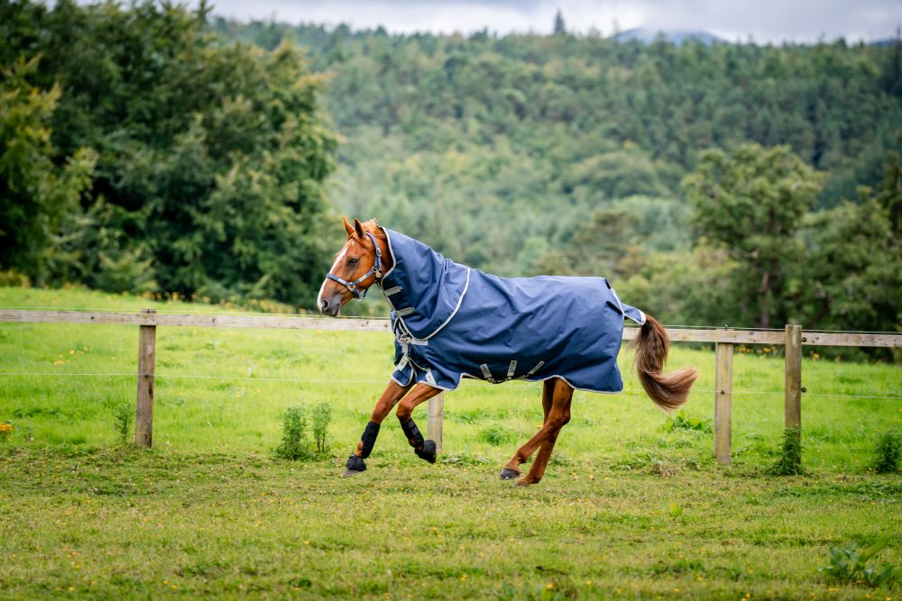 HORSEWARE® Amigo® Bravo 12 Plus Bundle Turnout, 50 g (+ 100 g & 200 g Liner), navy/titanium 