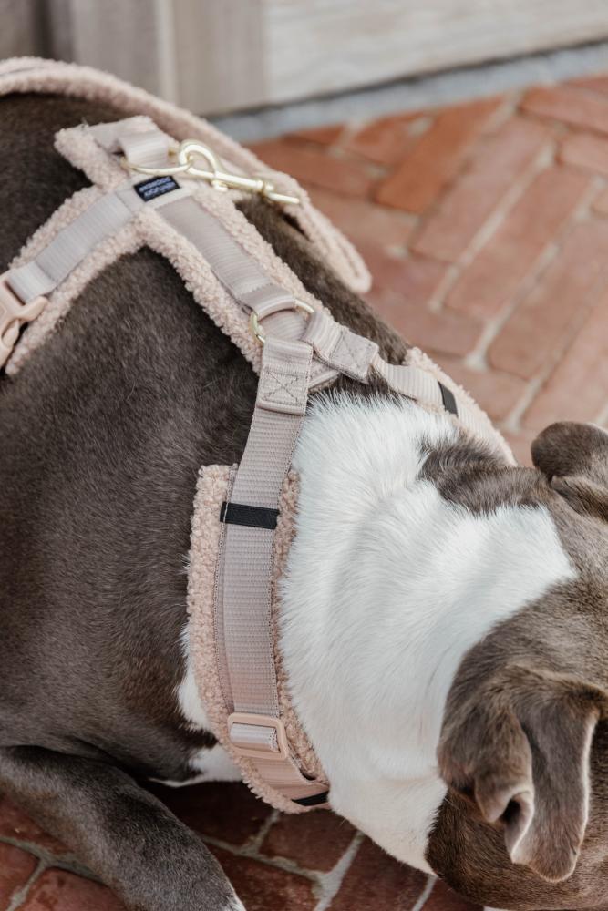 KENTUCKY® DOGWEAR Hundegeschirr Aktiv aus Teddyfleece, beige