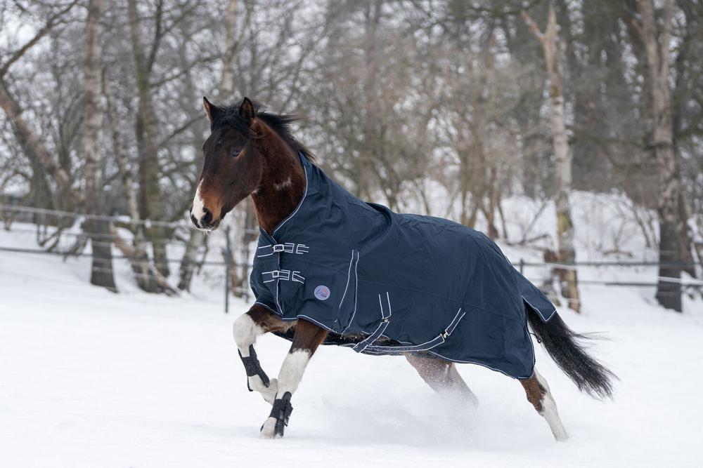 HKM Highneckdecke Starter - 600D, 300 g Wattefüllung, dunkelblau Braunes Pferd in der Seitenansicht galoppiert mit der dunkelblauen Winterdecke HKM Starter durch den tiefen Schnee.