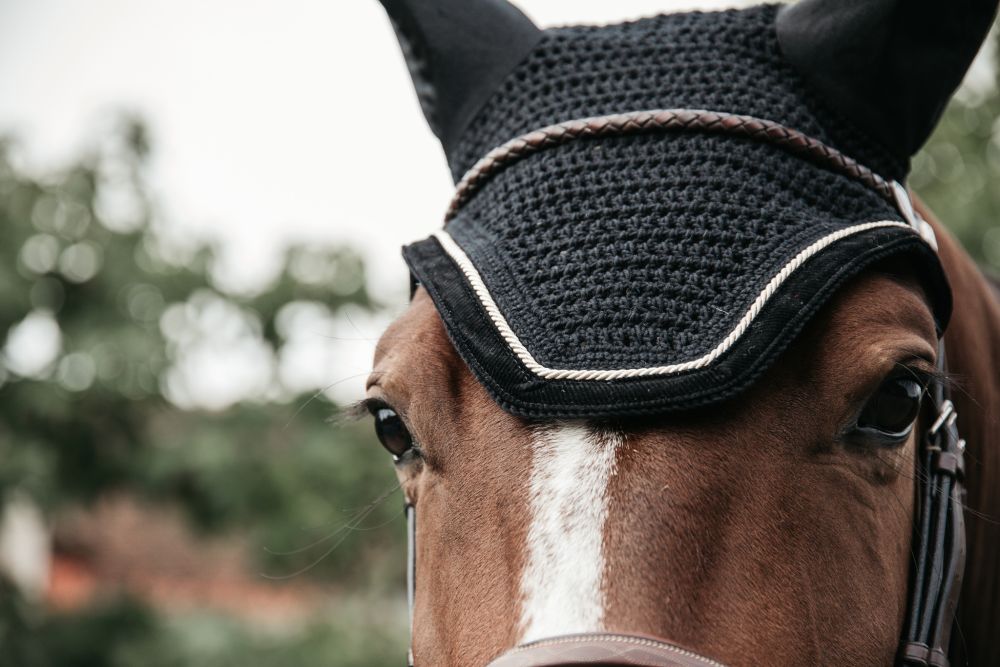KENTUCKY® HORSEWEAR Fliegenhaube Wellington Cord, schwarz