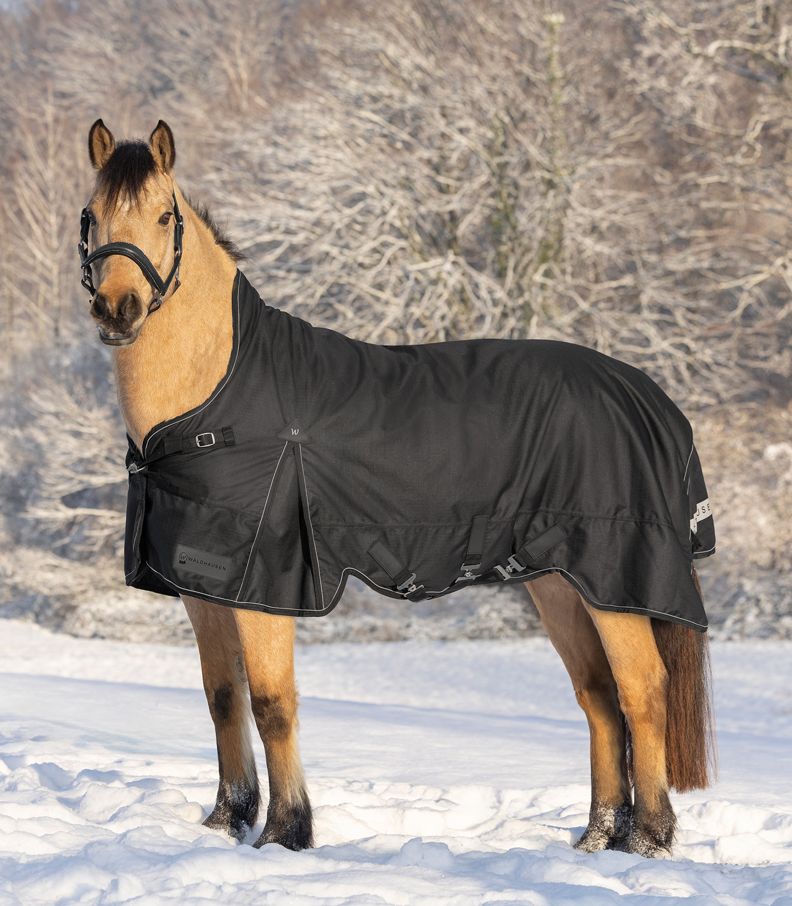 WALDHAUSEN SCANDIC Outdoordecke, High Neck, 200 g, schwarz
