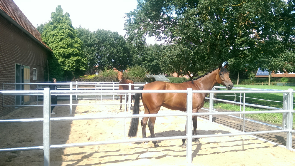 EQUIGROUND Paddockgitter