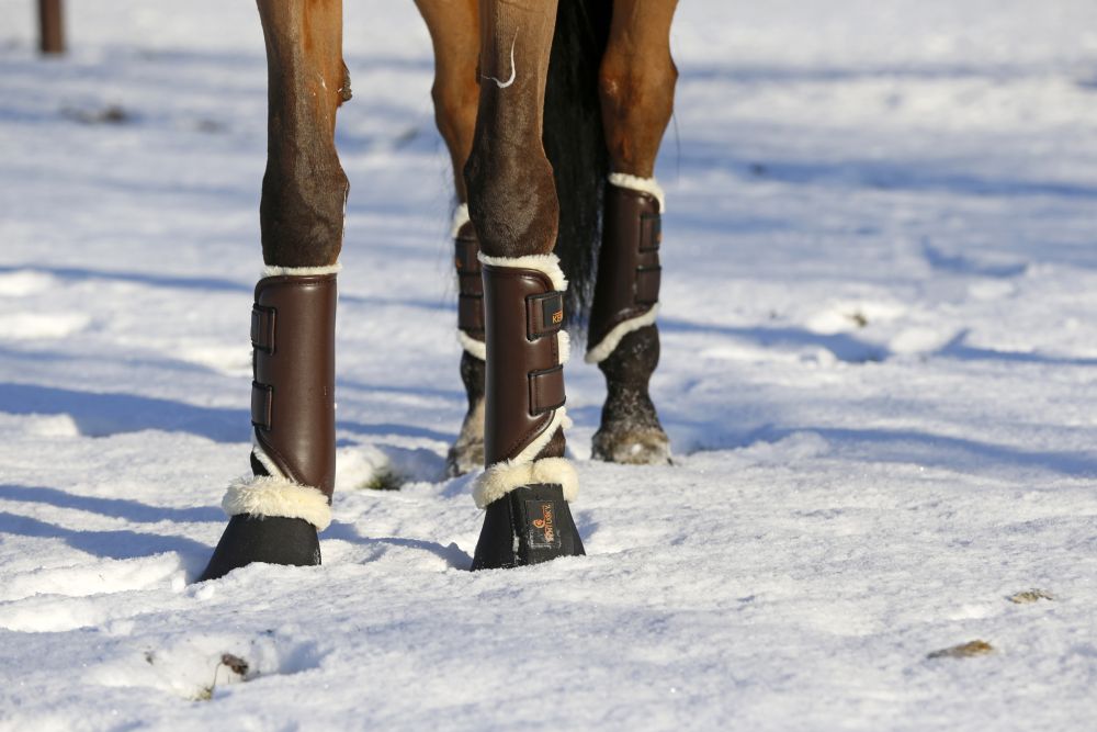 KENTUCKY® HORSEWEAR Hufglocken Solimbra mit Schaffell