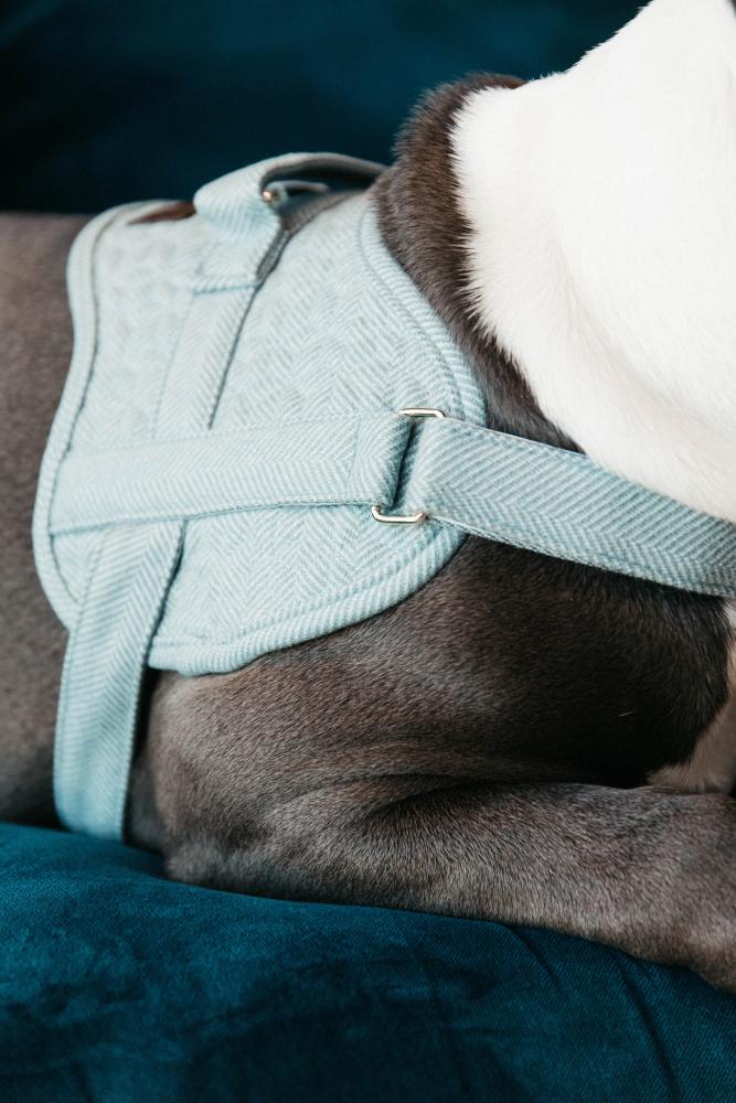 KENTUCKY® DOGWEAR Hundegeschirr Body Safe Wolle, hellblau