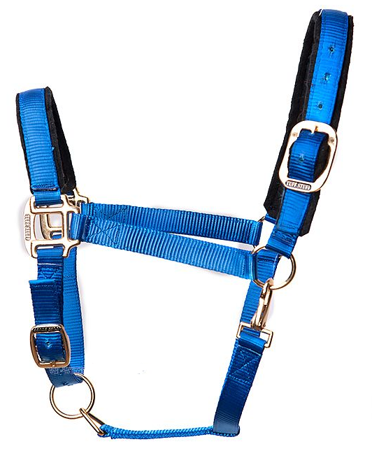 WESTERN IMPORTS® Tuff Stuff Halter, königsblau, Full