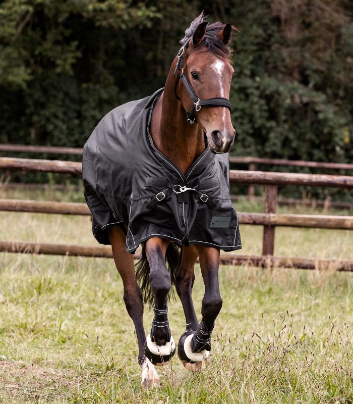 WALDHAUSEN SCANDIC Multi-Layer Outdoordecke, 250 g / 100 g, schwarz Braunes Pferd galoppiert auf einer Wiese und trägt die schwarze SCANDIC MultiLayer Outdoordecke mit weißem Rand