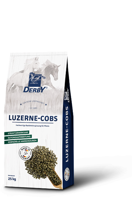DERBY® LUZERNE-COBS