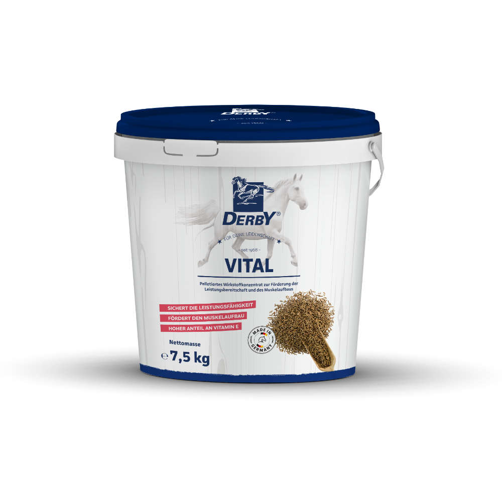 DERBY® VITAL