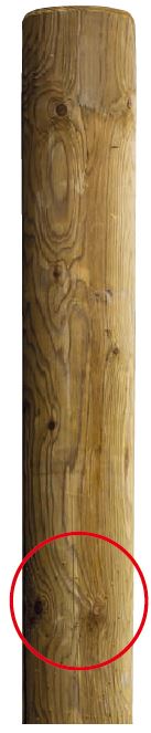 Weidezaunpfosten aus Holz mit Durchmesser 7 cm