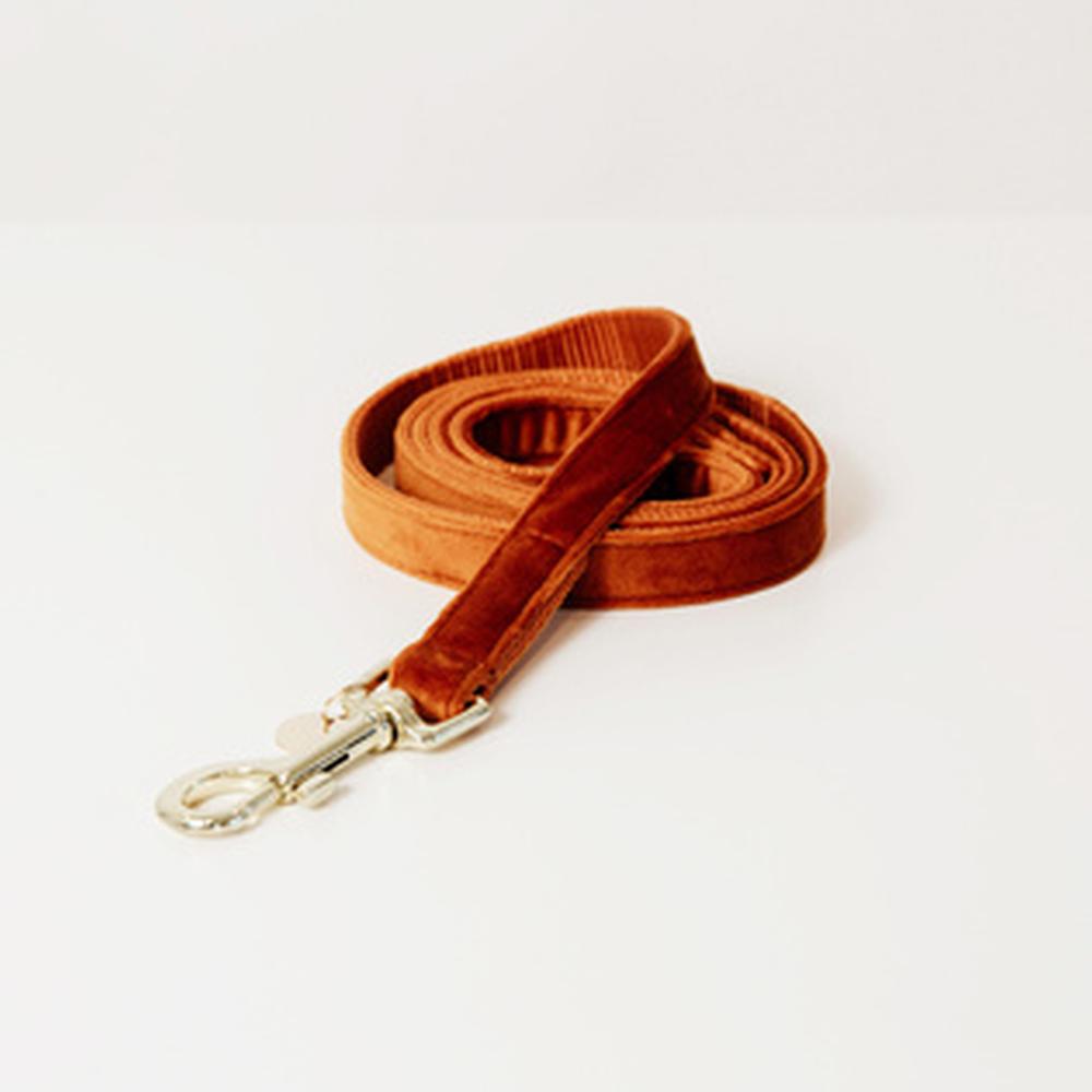 KENTUCKY® DOGWEAR Hundeleine Samt 120 cm, orange