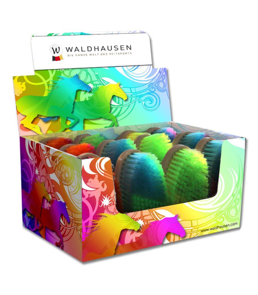 WALDHAUSEN NEON Bürsten-Set, 12 St. inkl. Verkaufsdisplay