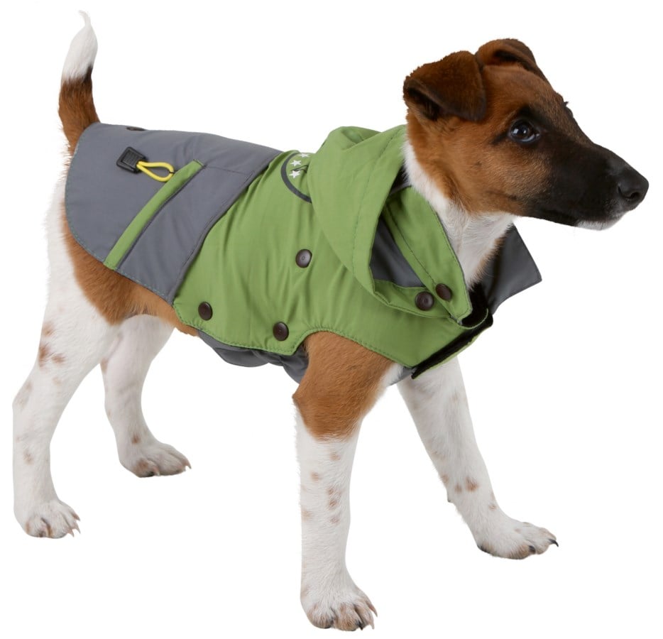 Ein kleiner Hund trägt den funktionalen Kerbl Hundemantel Vancouver in Grün und Grau mit Kapuze.