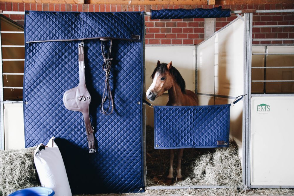 KENTUCKY® HORSEWEAR Stable Guard, marine