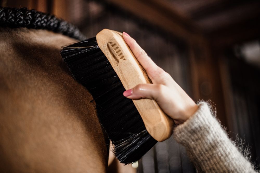 KENTUCKY® GROOMING DELUXE Body Brush Middle Hard