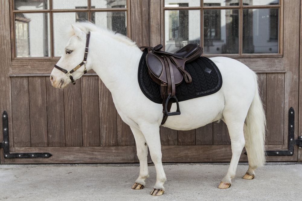 KENTUCKY® HORSEWEAR Pony-Schabracke Glitter Stone Springen, schwarz