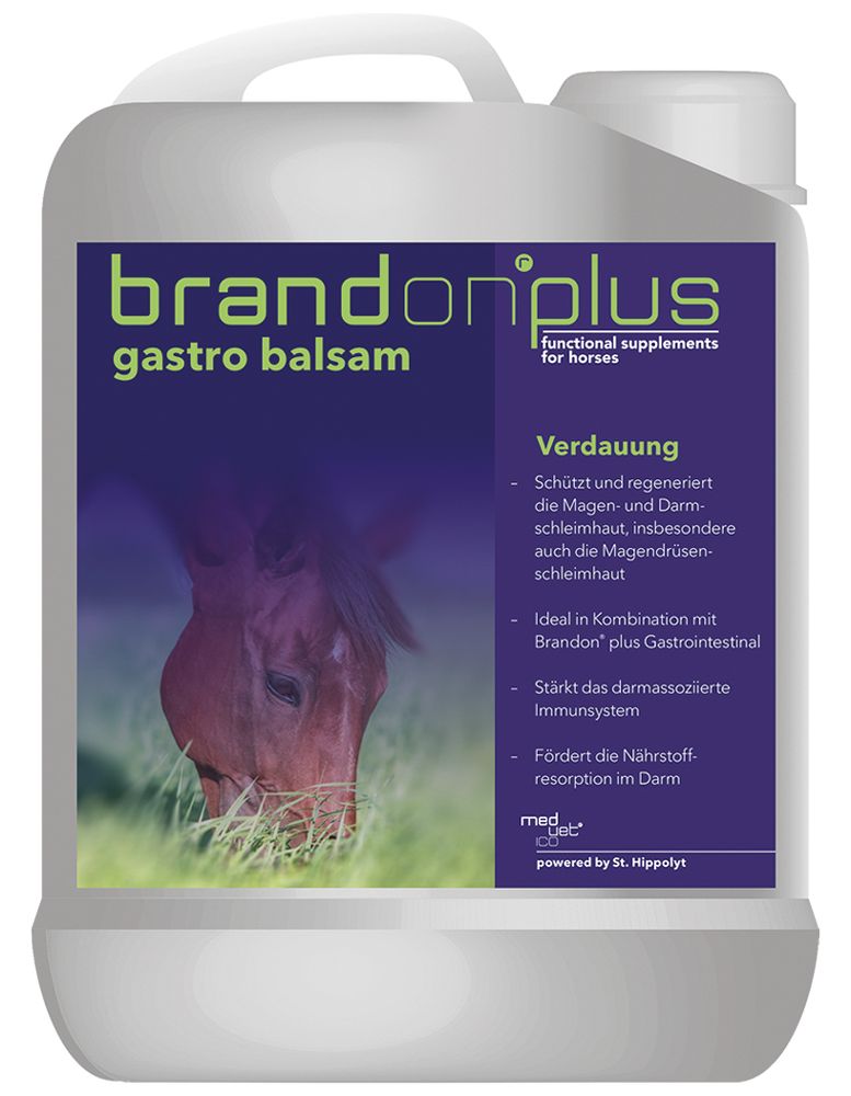 BRANDON®PLUS gastro balsam