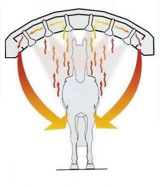 Schematische Darstellung der Therapie im SUMMERWIND Pferdesolarium mit Infrarotwärme und Luftstrom