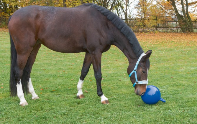 KERBL Spielball für Pferde, 25 cm