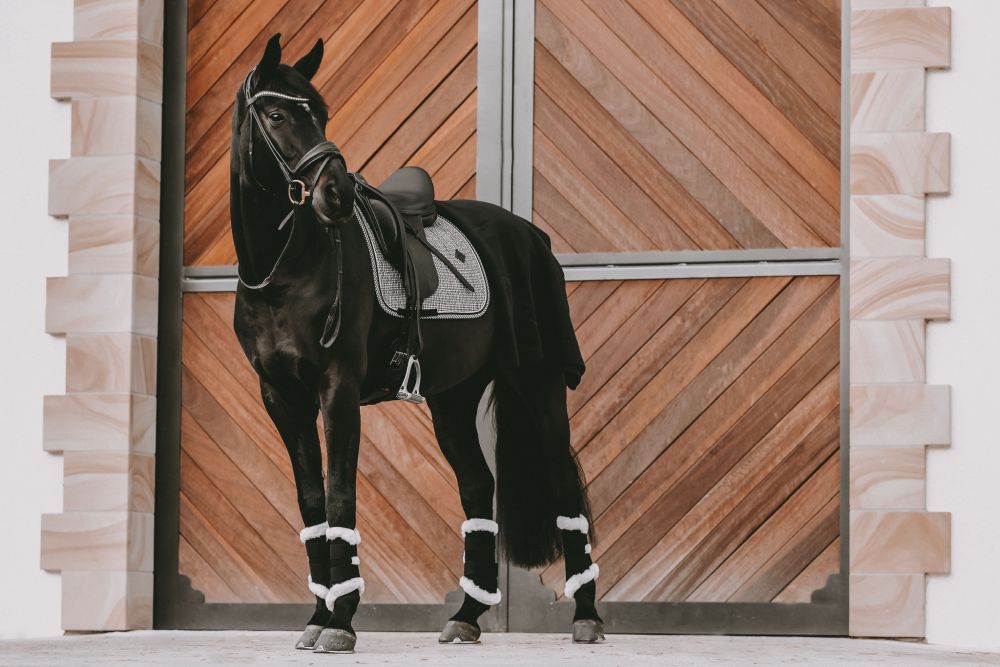 KENTUCKY® HORSEWEAR Schabracke Pied-de-Poule Dressur, schwarz