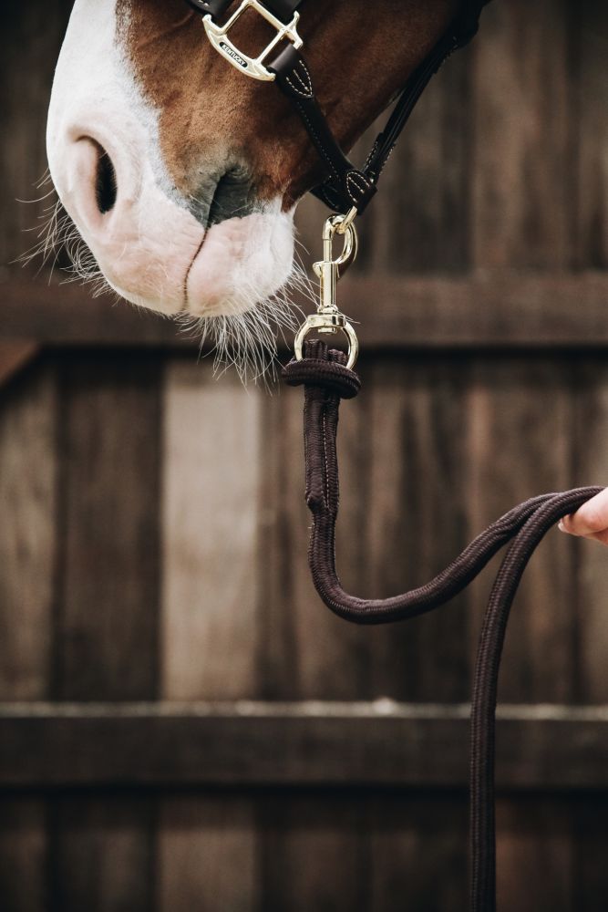 KENTUCKY® HORSEWEAR Führstrick, Karabiner, braun