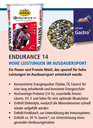 HAVENS Endurance 14
