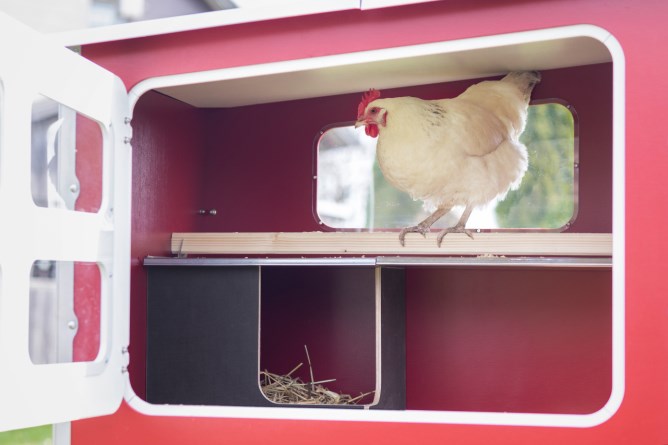 KERBL Mobile Coop aus Holz