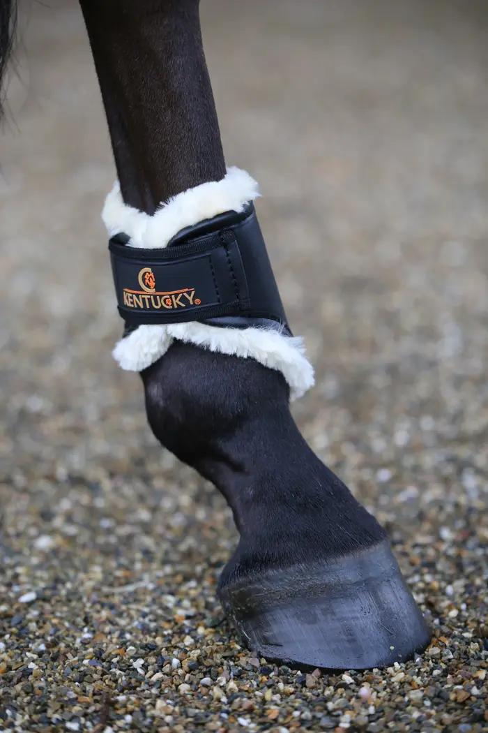 KENTUCKY® HORSEWEAR Streichkappen Kunstleder, schwarz