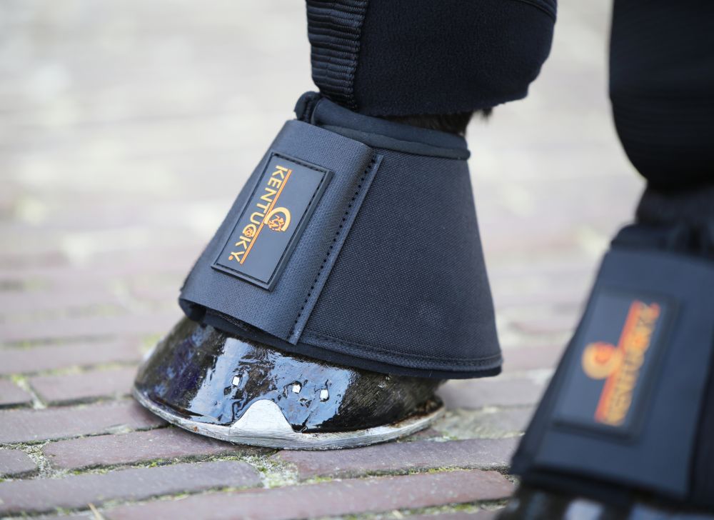 KENTUCKY® HORSEWEAR Hufglocken Solimbra