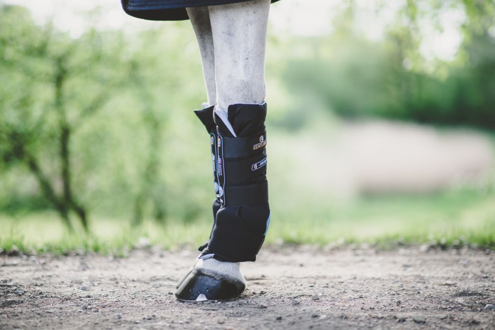 KENTUCKY® HORSEWEAR Magnetic Recuptex Stallgamasche