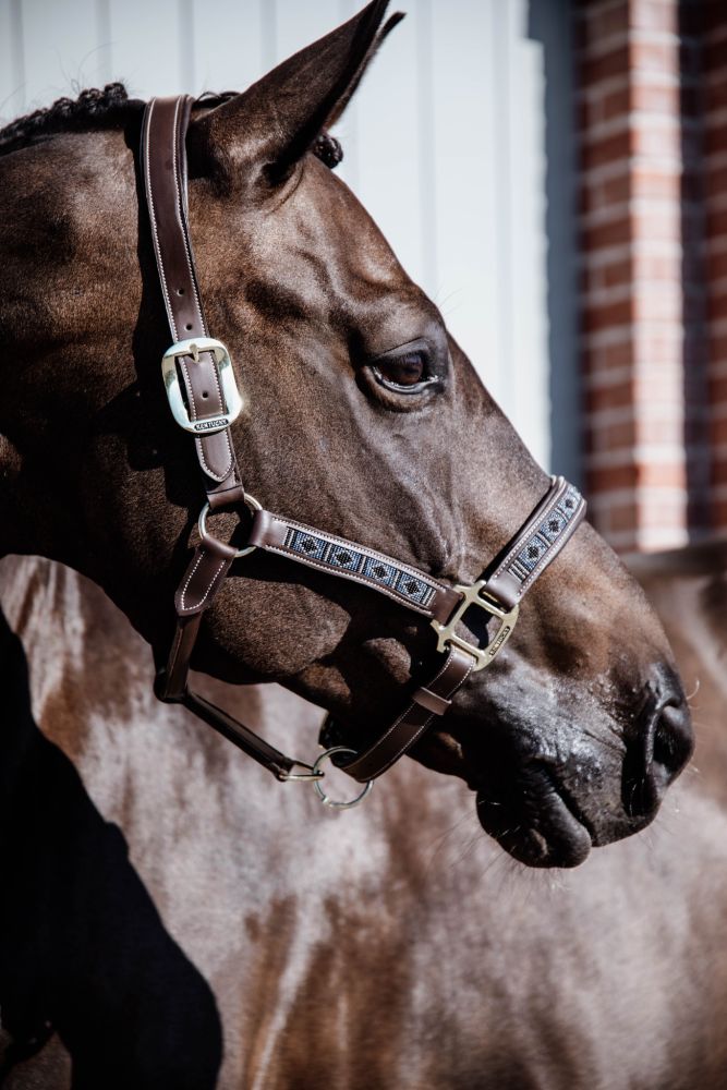 KENTUCKY® HORSEWEAR Pearls Halfter, silber