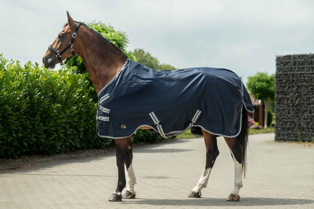 Seitenansicht eines braunen Pferdes mit der ungefütterten HKM Weidedecke ThermoPro in dunkelblau auf der Weide.