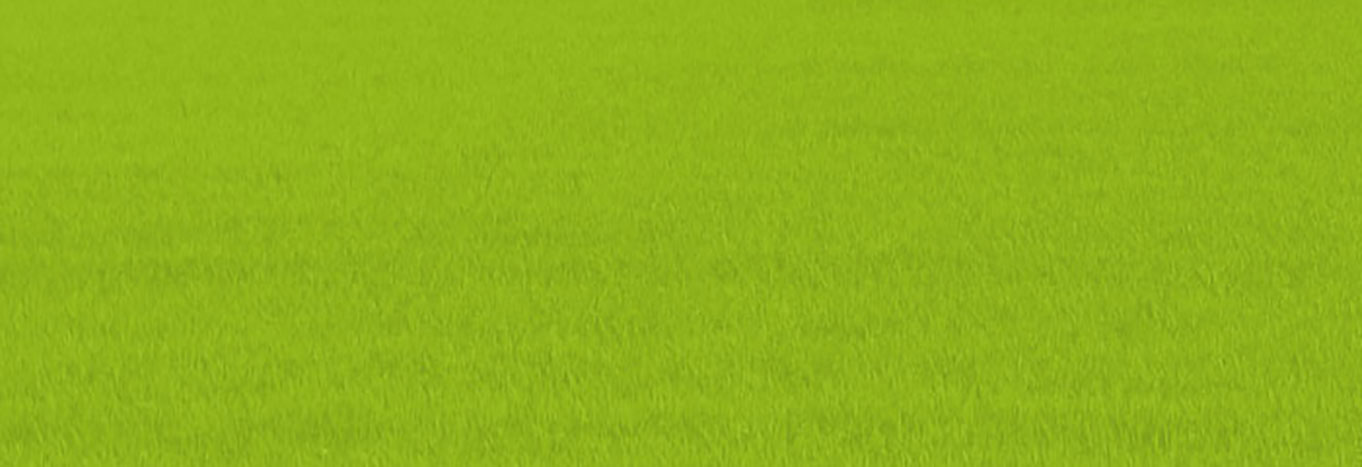 Grüner Hintergrund