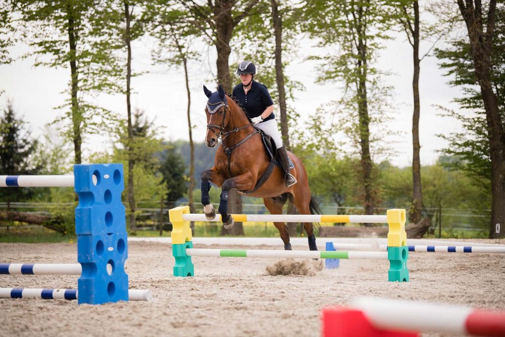 EQUIMORE Cavaletti SP Standard L