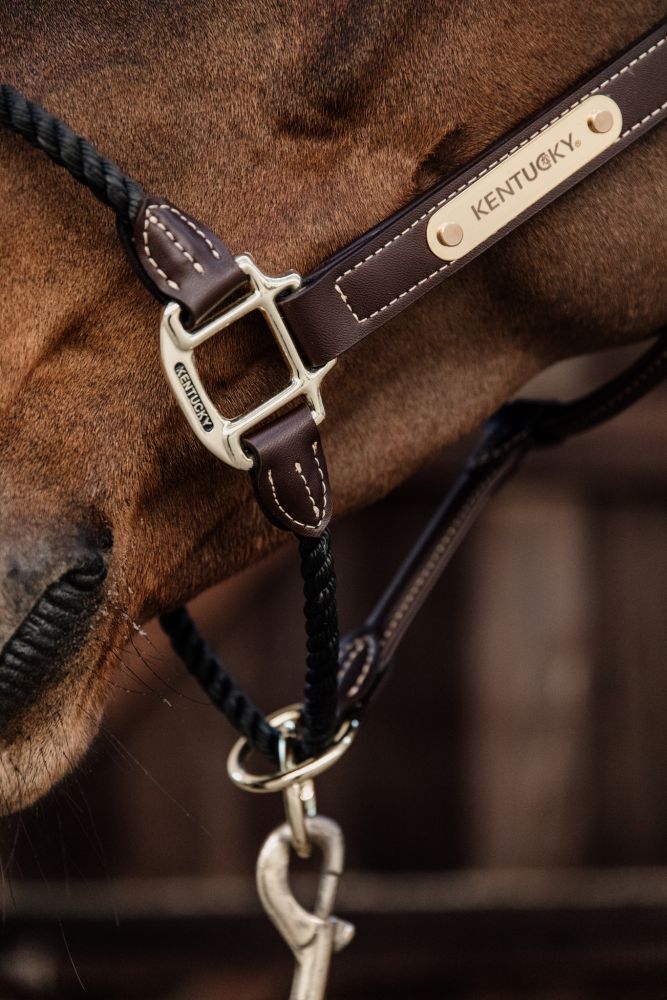 KENTUCKY® HORSEWEAR Lederhalfter Rope