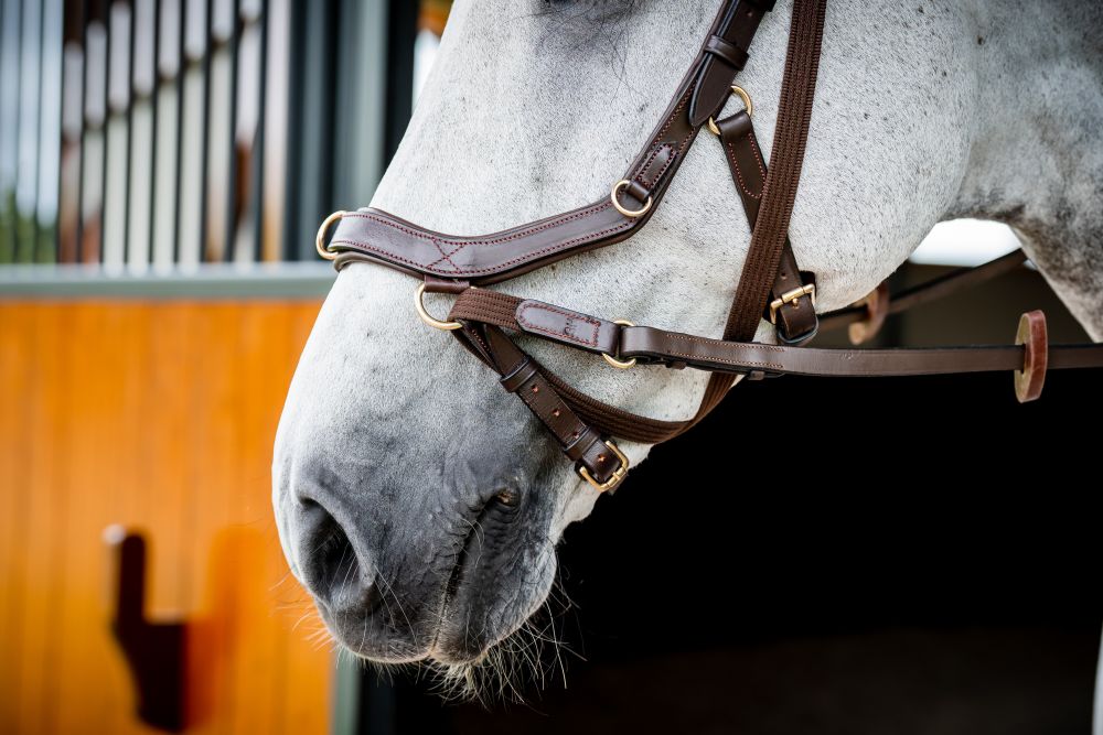 HORSEWARE® Micklem® 2 Multi Bridle, dark havana 