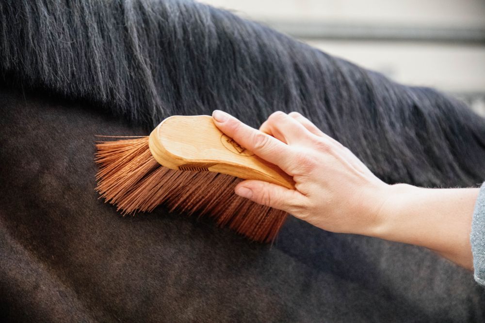 KENTUCKY® GROOMING DELUXE Middle Brush Medium