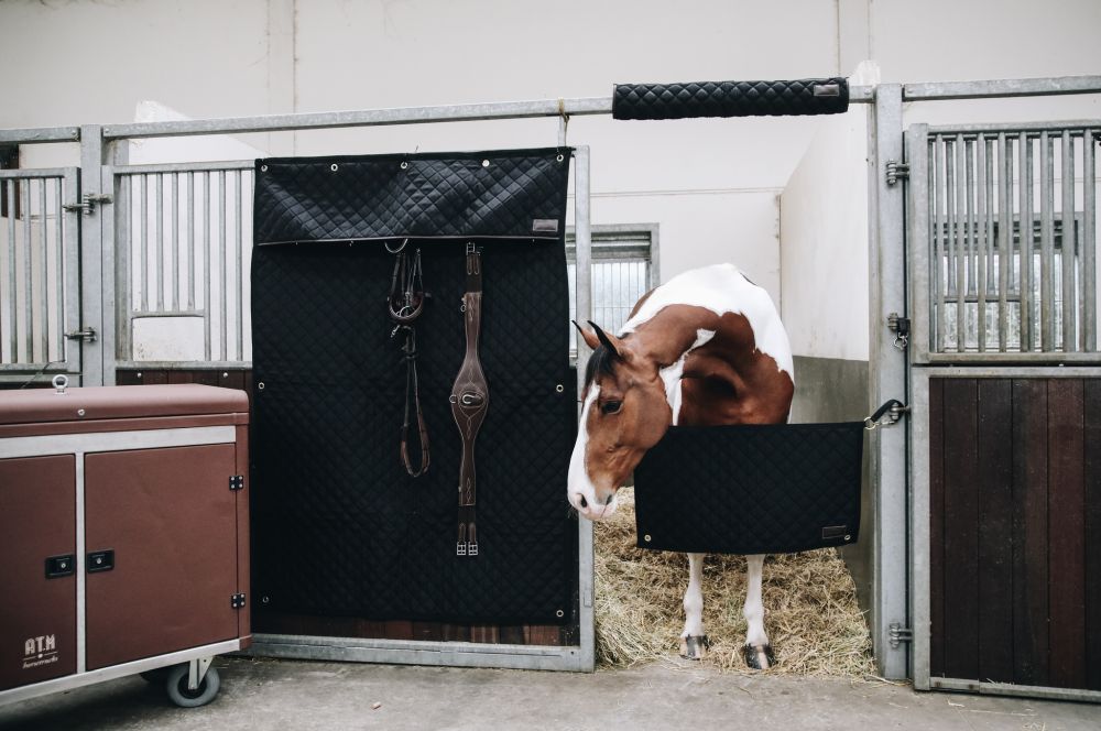 KENTUCKY® HORSEWEAR Stable Guard, schwarz