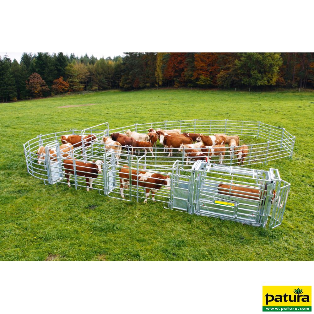 PATURA Behandlungsstand A 8000