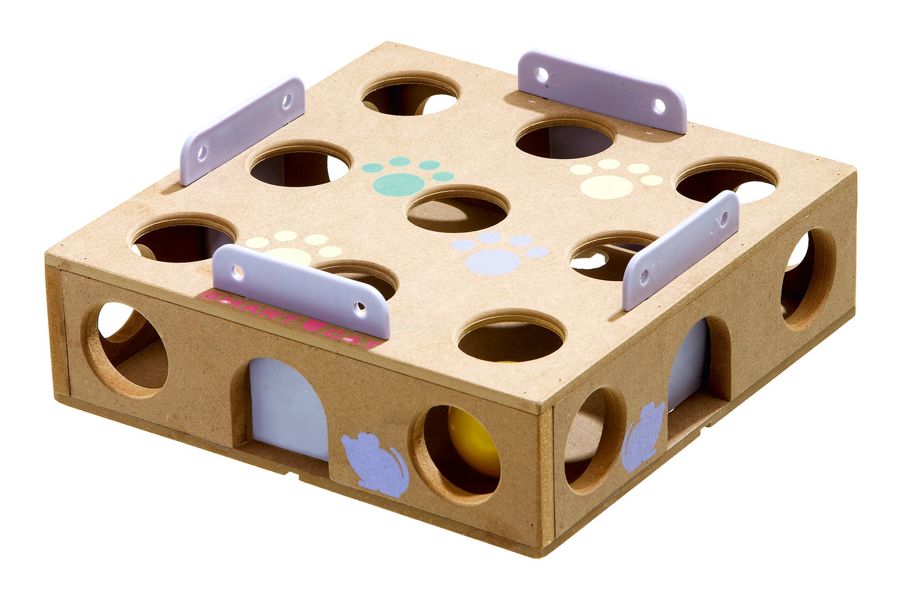 Smart Cat Activity Box